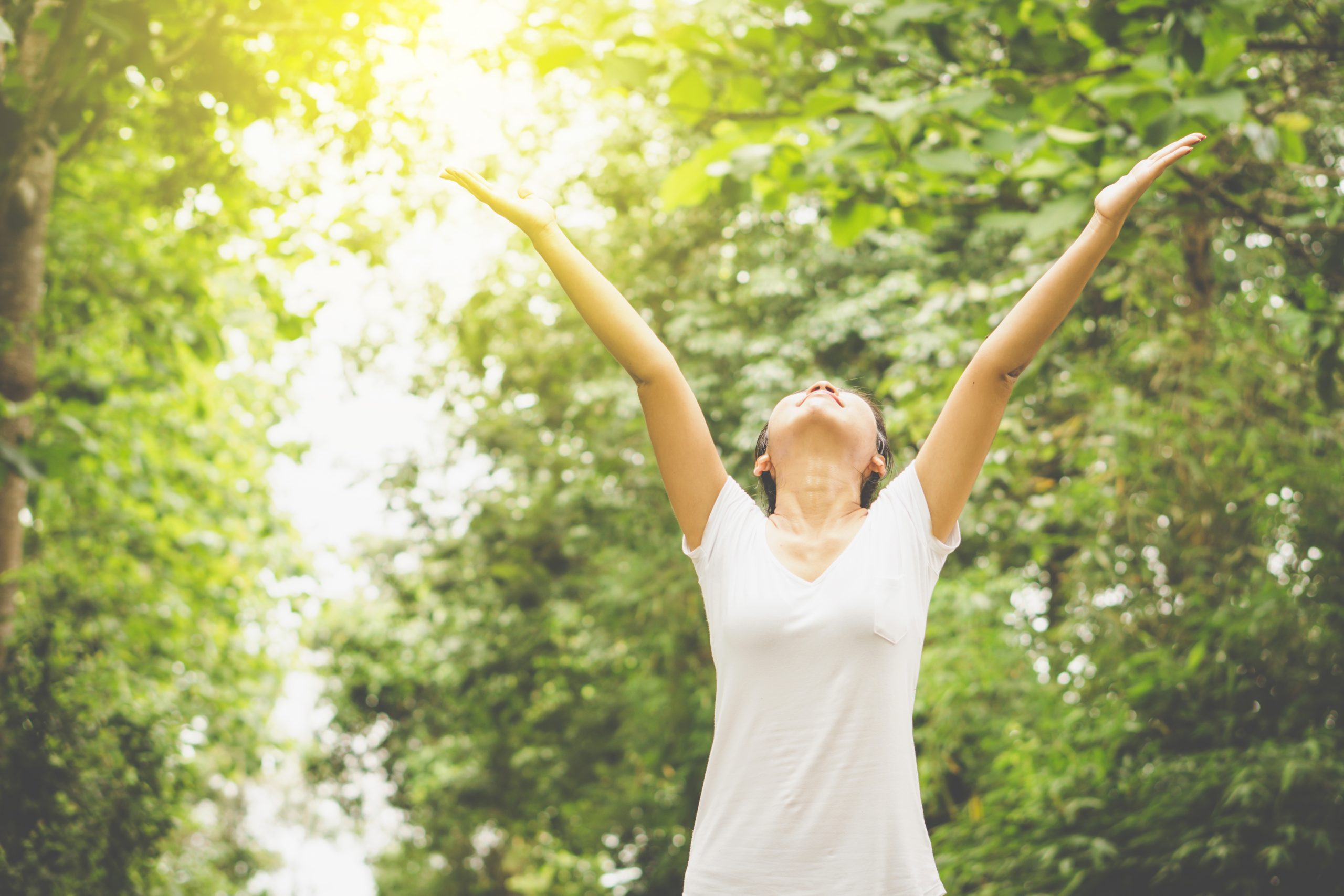 Spring Into Wellness: Refresh Your Mind and Body